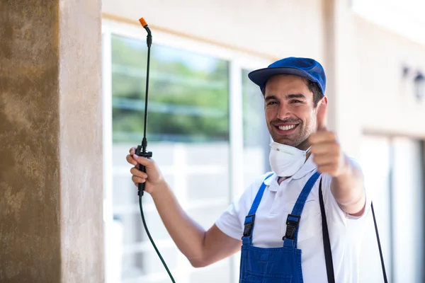 Coppell Wasp Removal