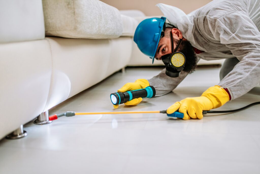 Coppell Termite Control