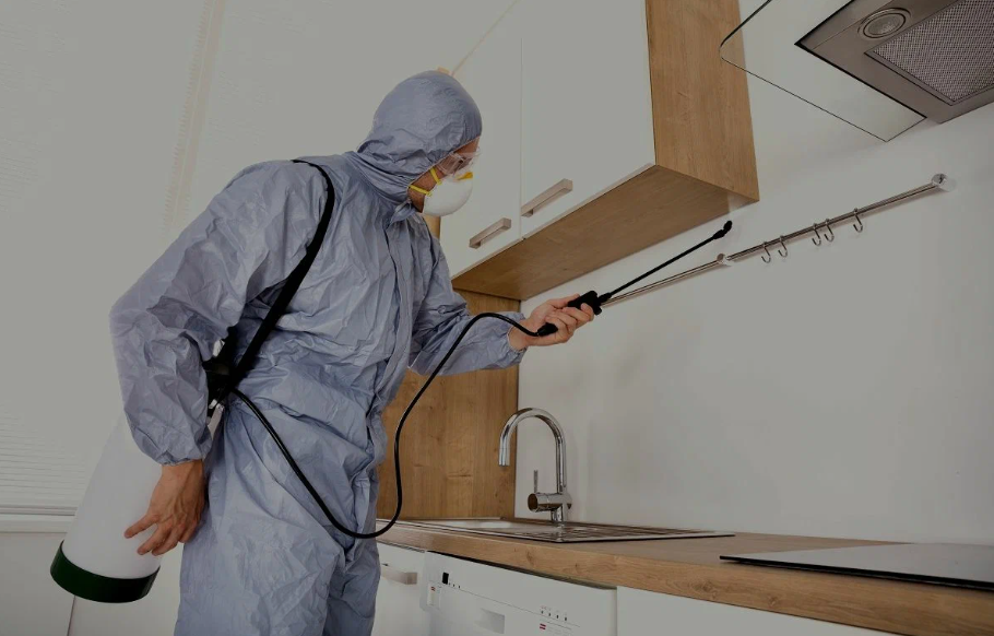 Coppell pest managment